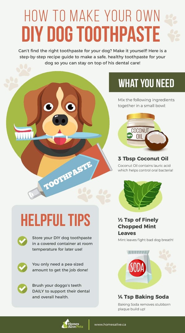 Diy Dog Toothpaste Without Baking Soda All Natural Diy Dog Toothpaste